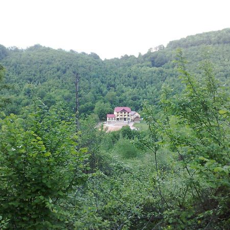 Pensiunea Dolvas Padis Exterior foto
