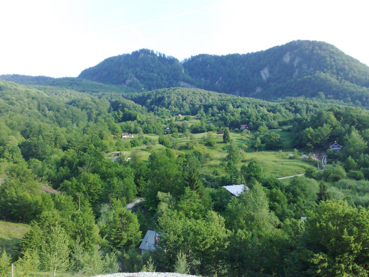Pensiunea Dolvas Padis Exterior foto