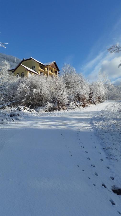 Pensiunea Dolvas Padis Exterior foto